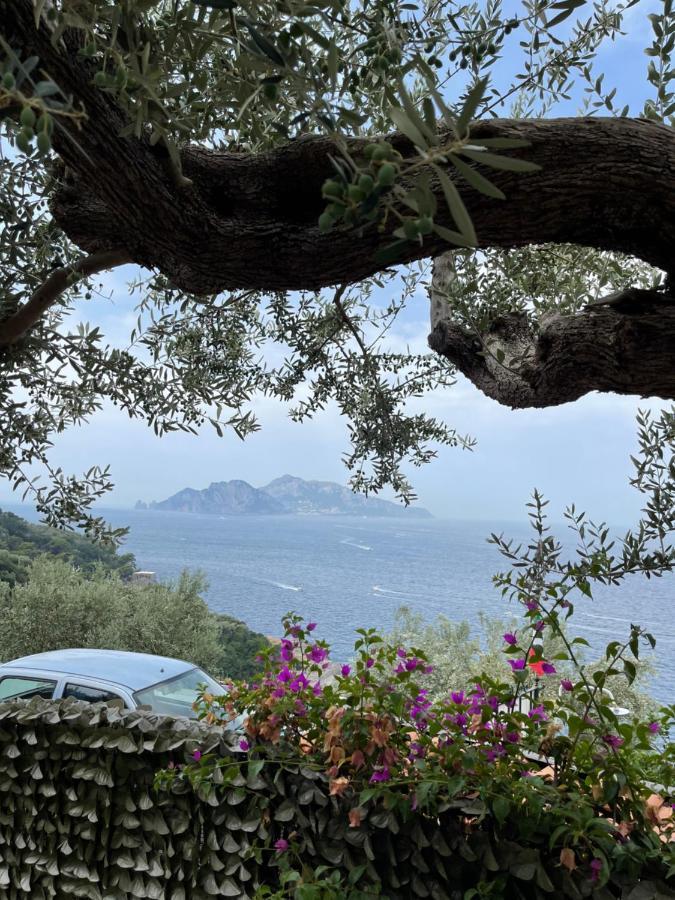 Giardino Del Vesuvio, Pompei Villa Terzigno ภายนอก รูปภาพ