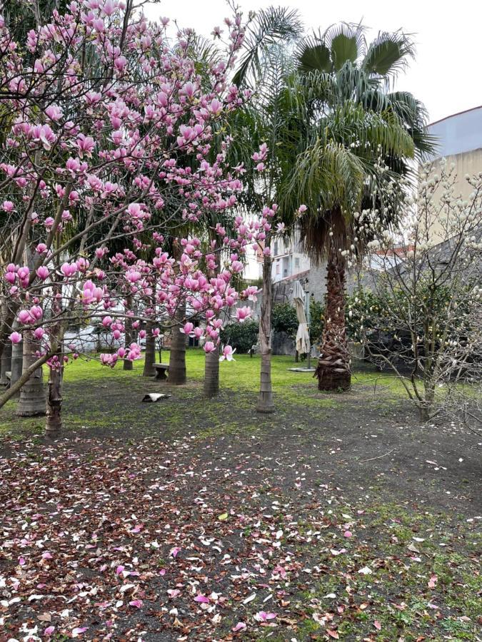 Giardino Del Vesuvio, Pompei Villa Terzigno ภายนอก รูปภาพ