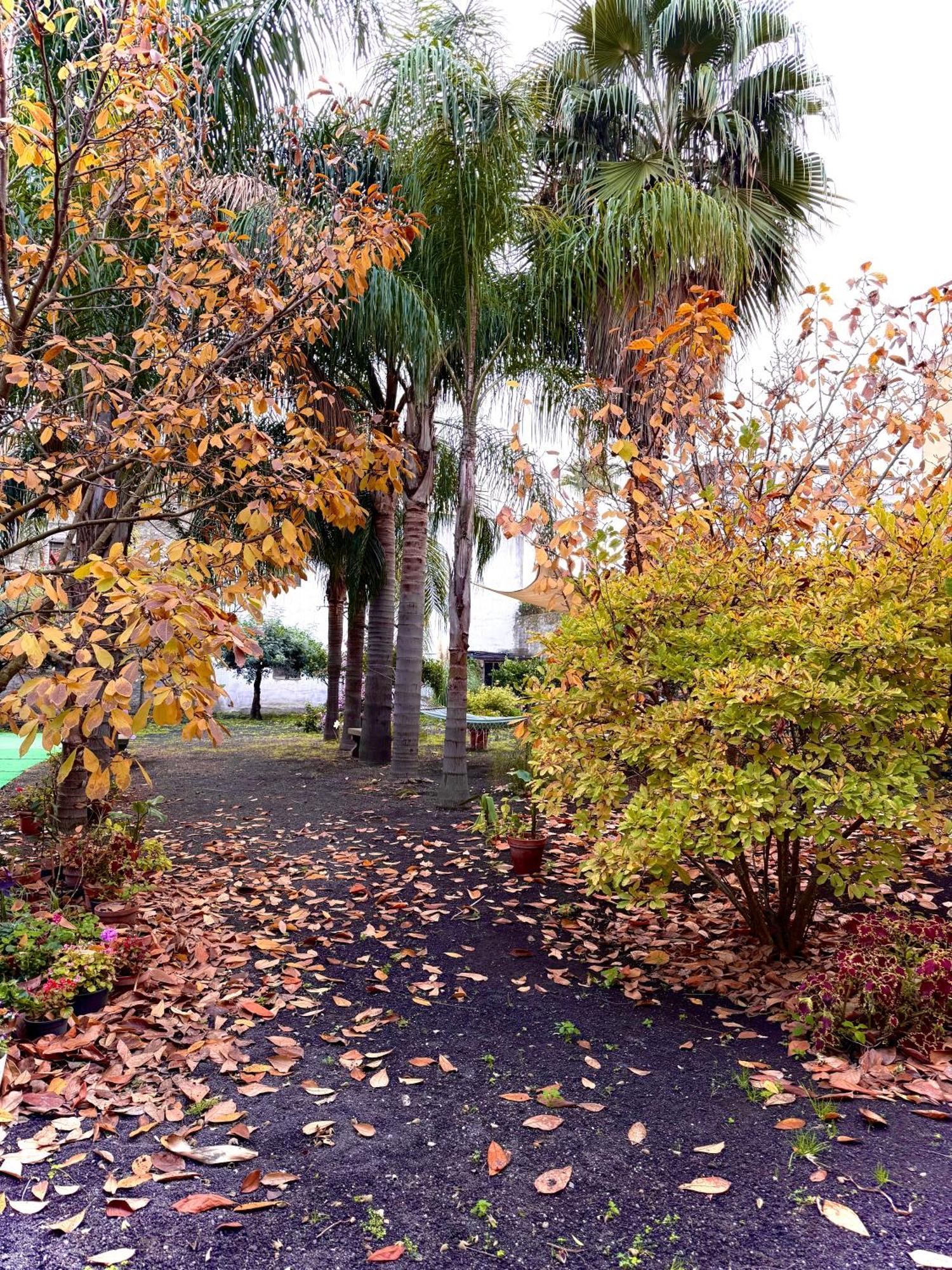 Giardino Del Vesuvio, Pompei Villa Terzigno ภายนอก รูปภาพ